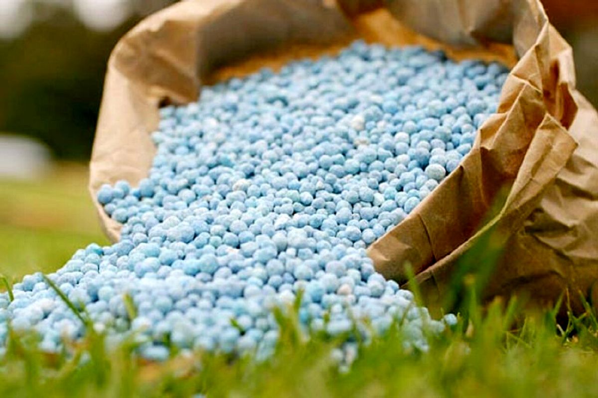 توزیع بیش از هشت هزار تن انواع کودهای شیمیایی در استان تهران