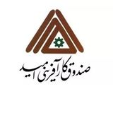 مدیرعامل جدید صندوق کارآفرینی امید منصوب شد