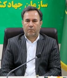 فعالیت ۶۲۰ واحد پرورش مرغ گوشتی در استان لرستان
