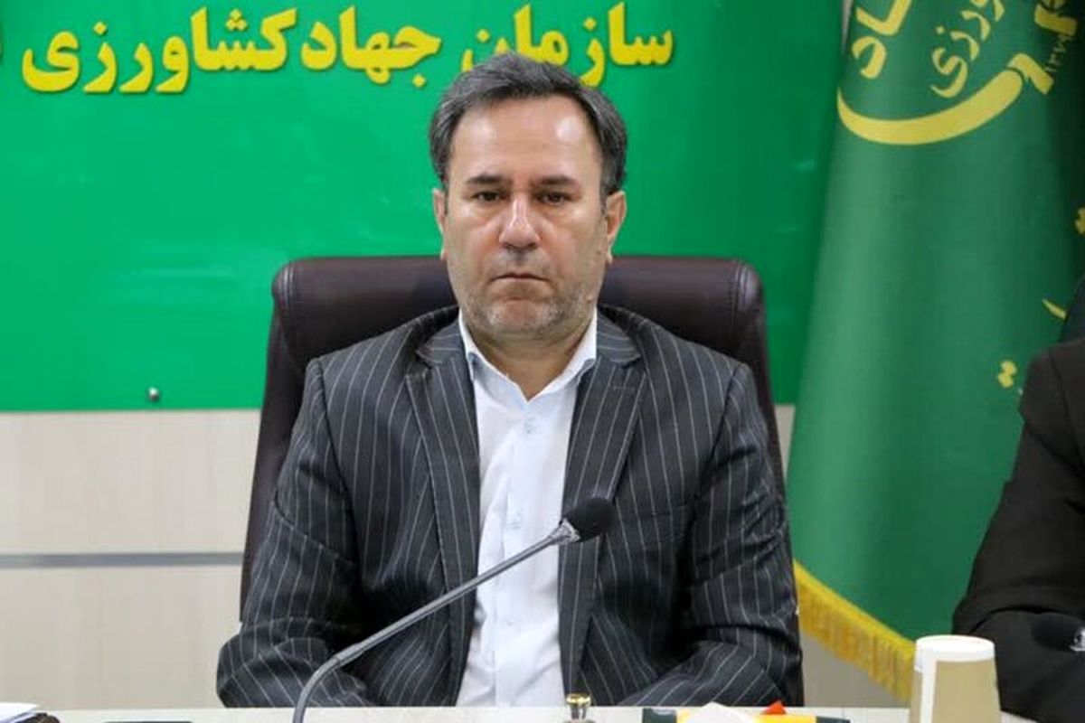 فعالیت ۶۲۰ واحد پرورش مرغ گوشتی در استان لرستان