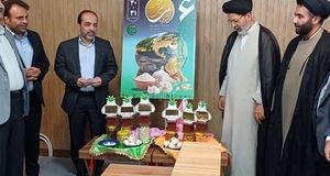 همدان میزبان جشنواره سیر و موسیر