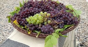 سومین جشنواره انگور کندوله برگزار می‌شود