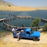 اجرای طرح آزمایشی پرورش ماهی فیتوفاگ در استان ایلام