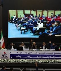 افزایش ۵۷ درصدی درآمد فروش و رشد ۱۰ درصدی تولید پتروشیمی امیرکبیر