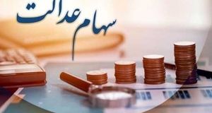 تغییر انتقال سهام متوفیان به وراث در راه است