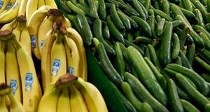 چرایی گران شدن خیار در بازار