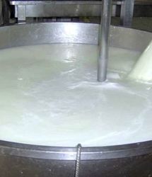 کاهش تولید شیرخام در استان تهران