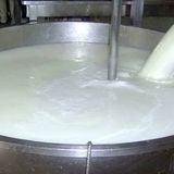 کاهش تولید شیرخام در استان تهران