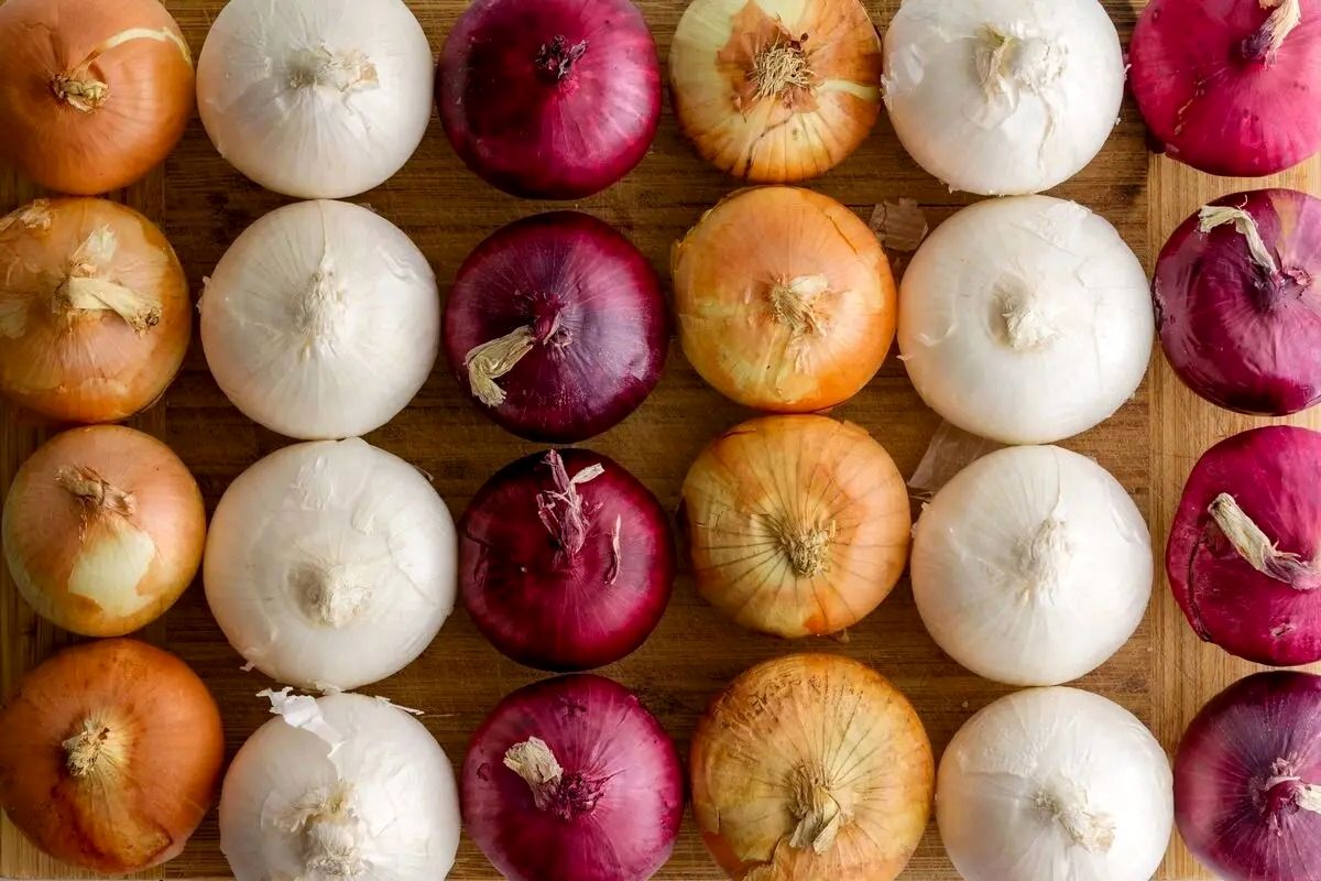 پیاز جیرفت در بورس کالا