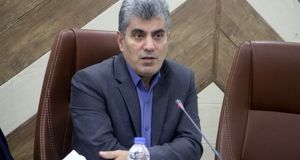 کاهش ۱۰ درصدی برداشت گردو در استان گیلان بدلیل سرمازدگی