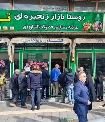 توزیع گسترده مرغ منجمد طرح تنظیم بازار در استان آذربایجان‌غربی