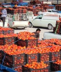 ازبکستان تمام میوه‌های تازه افغانستان را خرید