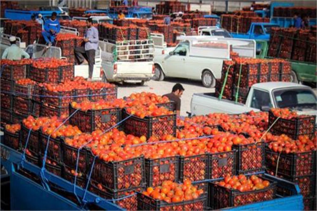 ازبکستان تمام میوه‌های تازه افغانستان را خرید