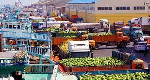 لغو ممنوعیت واردات گوجه‌فرنگی، کلم، گل‌کلم و کاهو توسط عراق