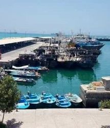 صدور دستور قضائی برای تخلیه فوری اسکله شیلات بندر دیر