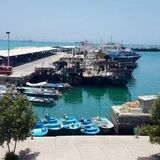 صدور دستور قضائی برای تخلیه فوری اسکله شیلات بندر دیر