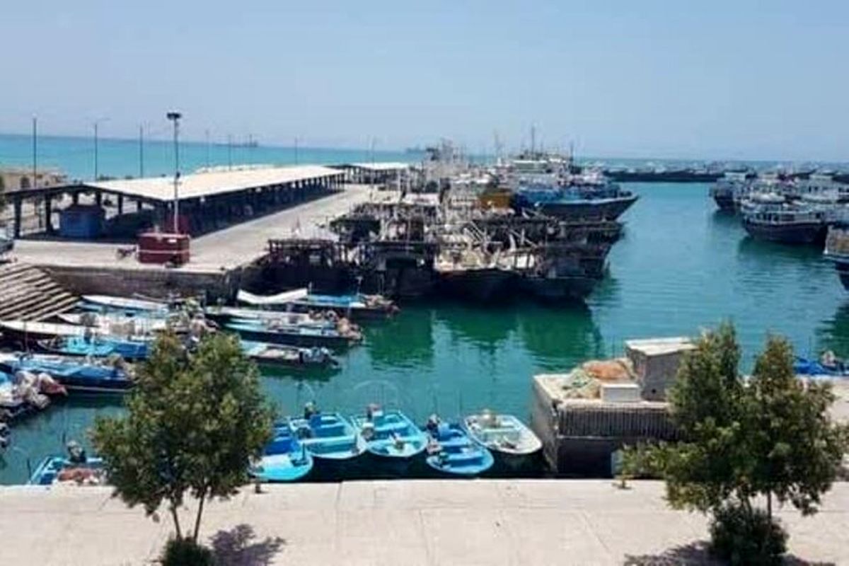 صدور دستور قضائی برای تخلیه فوری اسکله شیلات بندر دیر