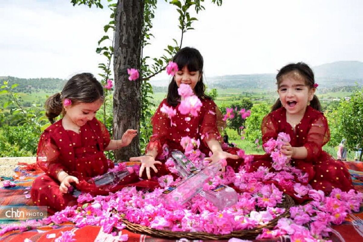 جشنواره گلاب‌گیری بانه در تقویم گردشگری کشور ثبت شد