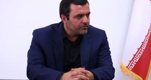 اولین جشنواره گیاهان دارویی و صنایع وابسته استان مرکزی برگزار می‌شود