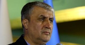 فاز نخست آب شیرین‌کن بوشهر سال آینده افتتاح می‌شود / ۸ نیروگاه اتمی در سواحل جنوبی و شمالی احداث می‌شود