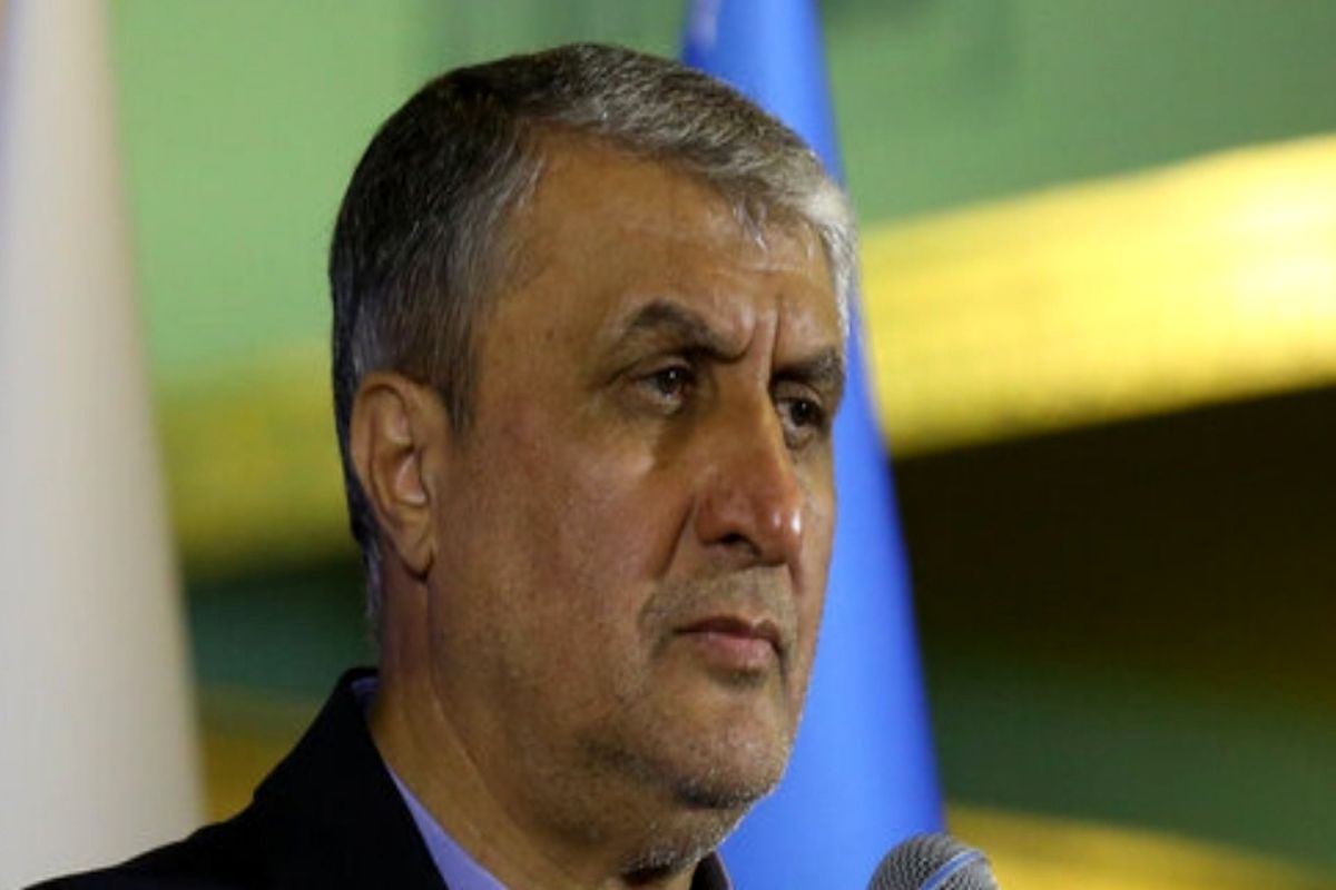 فاز نخست آب شیرین‌کن بوشهر سال آینده افتتاح می‌شود / ۸ نیروگاه اتمی در سواحل جنوبی و شمالی احداث می‌شود