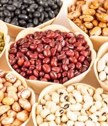 افزایش برداشت حبوبات، احتمالا قیمت را کاهش خواهدداد