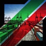 افزایش ۴۰ درصدی ترخیص کالاهای اساسی در شبانه روز اخیر