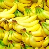 در تولید همه میوه های باغبانی علاوه بر خودکفایی، صادرکننده هستیم