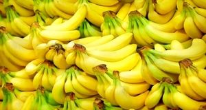 در تولید همه میوه های باغبانی علاوه بر خودکفایی، صادرکننده هستیم