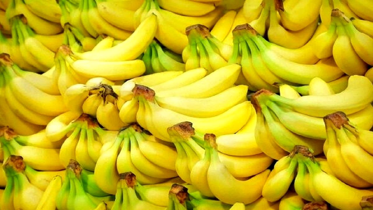 در تولید همه میوه های باغبانی علاوه بر خودکفایی، صادرکننده هستیم