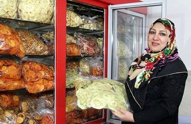 اعلام جزئیات و شرایط دریافت وام ۴ میلیارد تومانی مشاغل خانگی
