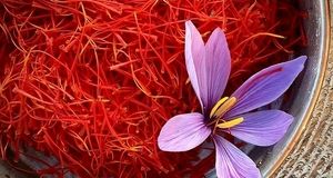 این زعفران، غیراستاندارد و تقلبی است