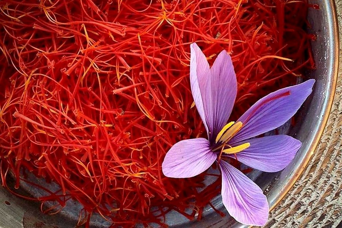 این زعفران، غیراستاندارد و تقلبی است