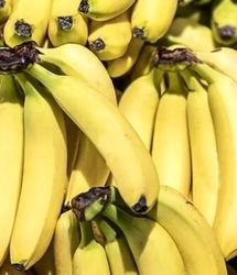 انتقاد رئیس اتحادیه ملی صادرات محصولات کشاورزی از استمرار شرط واردات موز در قبال صادرات سیب