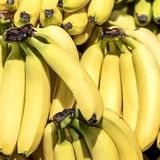 انتقاد رئیس اتحادیه ملی صادرات محصولات کشاورزی از استمرار شرط واردات موز در قبال صادرات سیب