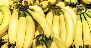 انتقاد رئیس اتحادیه ملی صادرات محصولات کشاورزی از استمرار شرط واردات موز در قبال صادرات سیب