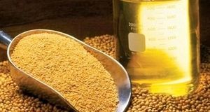 آغاز ثبت سفارشات جدید روغن خام و پالم از فردا