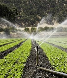 حذف ۵ محصول کشاورزی از فهرست عوارض آب مجازی 