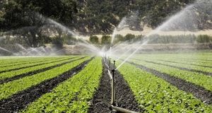 حذف ۵ محصول کشاورزی از فهرست عوارض آب مجازی 