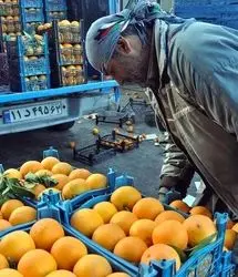 صادرات ۶۱ هزار تن تره بار طی سه ماهه اخیر از مرز مهران