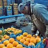 صادرات ۶۱ هزار تن تره بار طی سه ماهه اخیر از مرز مهران