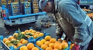 صادرات ۶۱ هزار تن تره بار طی سه ماهه اخیر از مرز مهران