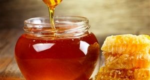 کاهش ۳۵ درصدی تولید عسل در کوهسرخ