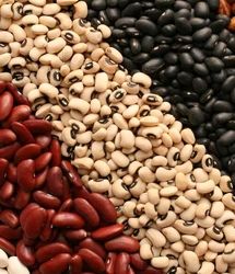 تولید نزدیک به ۶۵۰ هزار تن انواع حبوبات در کشور