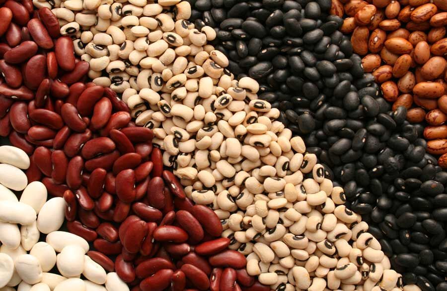 تولید نزدیک به ۶۵۰ هزار تن انواع حبوبات در کشور