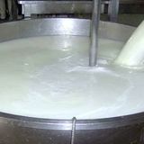 افزایش ۳۰ درصدی قیمت شیر خام