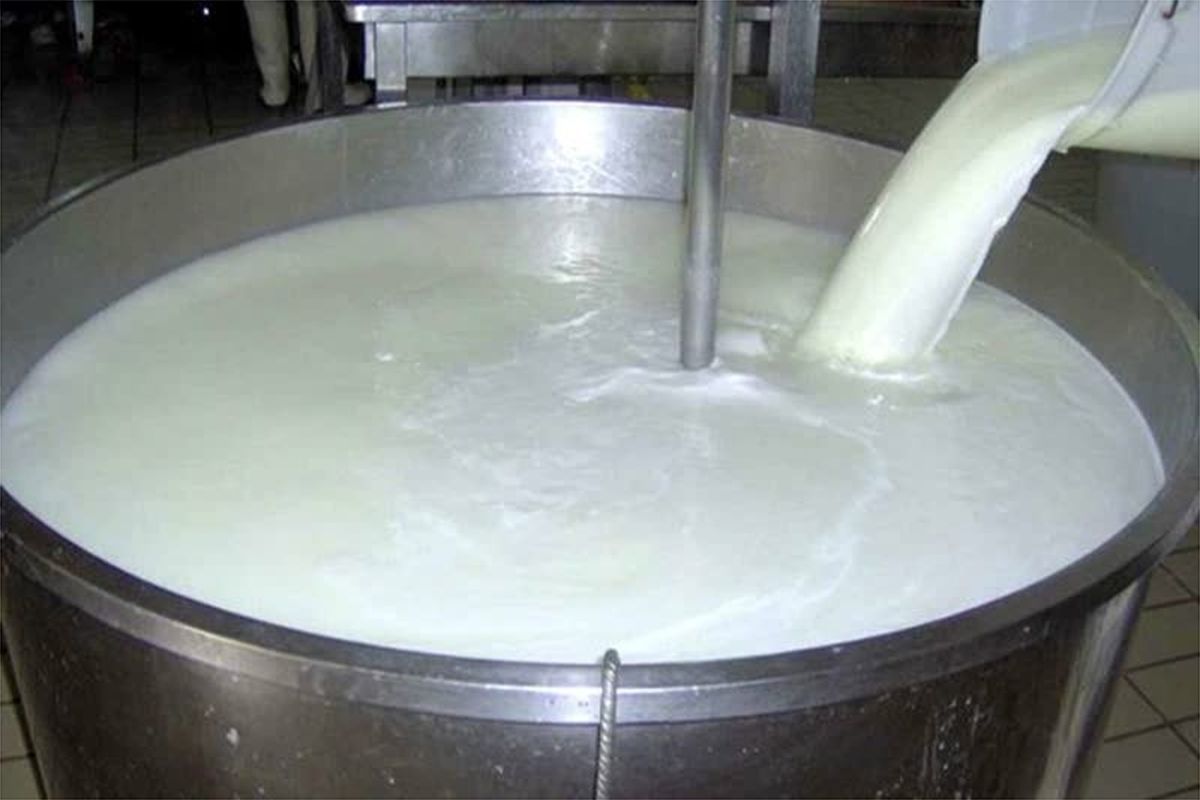 افزایش ۳۰ درصدی قیمت شیر خام