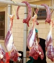 خشکسالی، تامین گوشت کشور را تهدید می‌کند