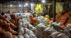 درج قیمت مصرف‌کننده بر کیسه‌های برنج داخلی و خارجی الزامی شد