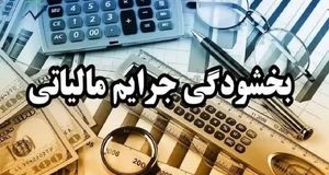 آخرین فرصت استفاده از بخشودگی جرایم مالیاتی